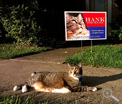 Official Campaign Yard Sign